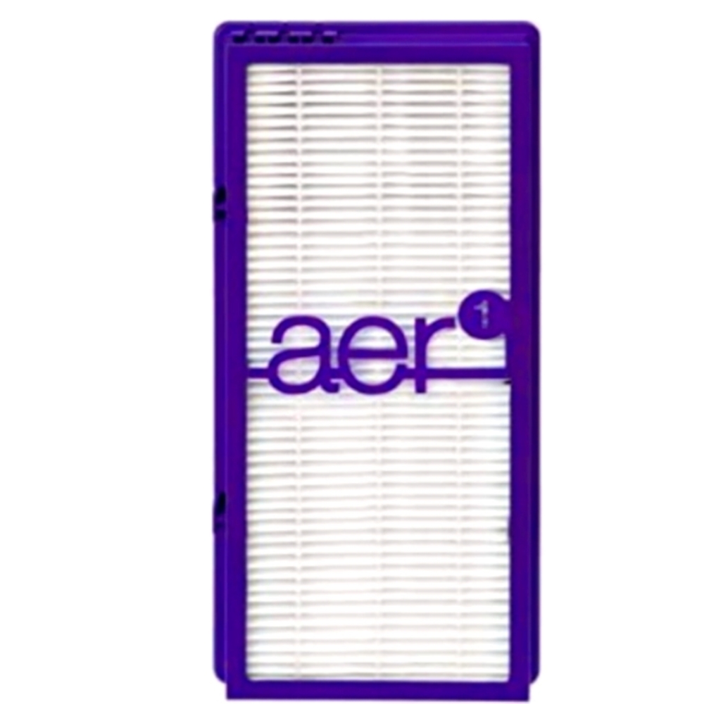 REPLACEMENT FILTER HOLMES TRUE HEPA D FILTER HAPF300AP